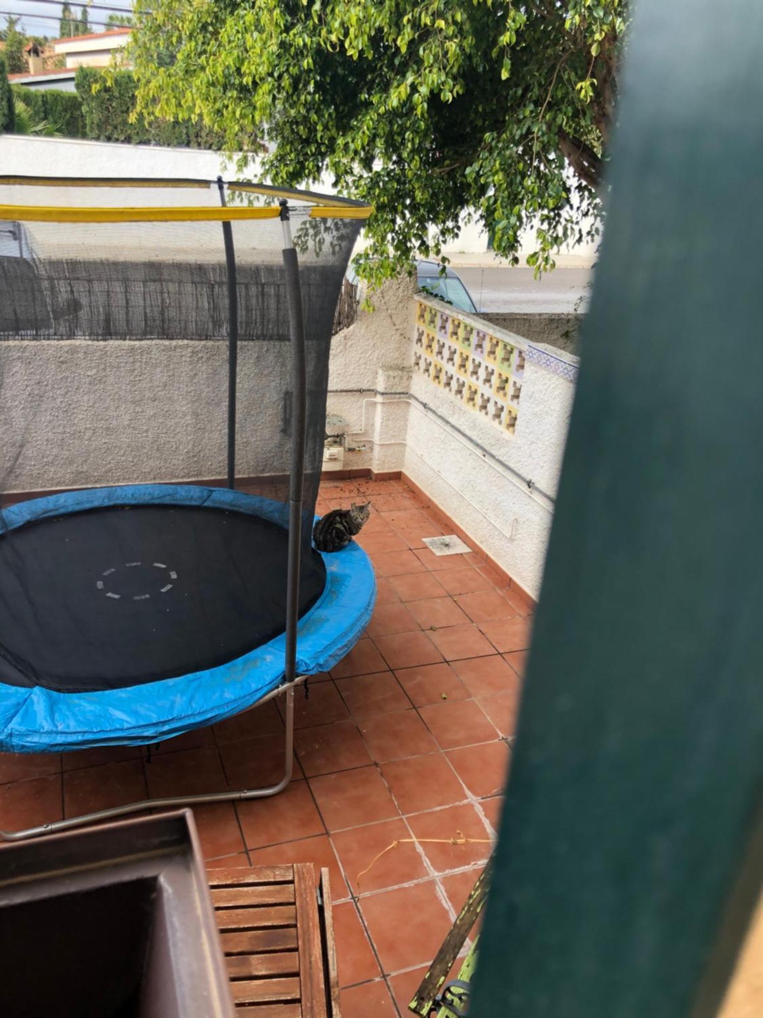 Casa En La Huerta De Mutxamel Villa Bagian luar foto
